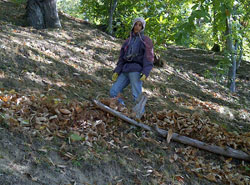 AGRITURISMO LA CASTELLANA
Al lavoro nella marroneta