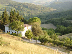 AGRITURISMO LA CASTELLANA
Vista